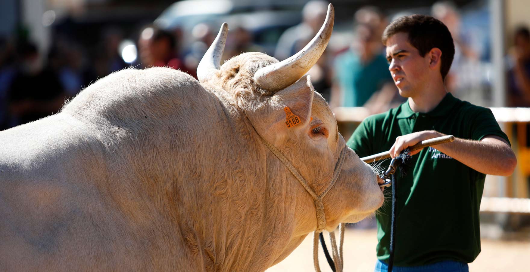 cabecera-quienes-somos