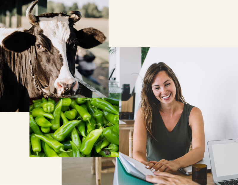 nola-lagundu-zaitzakegu-lorra