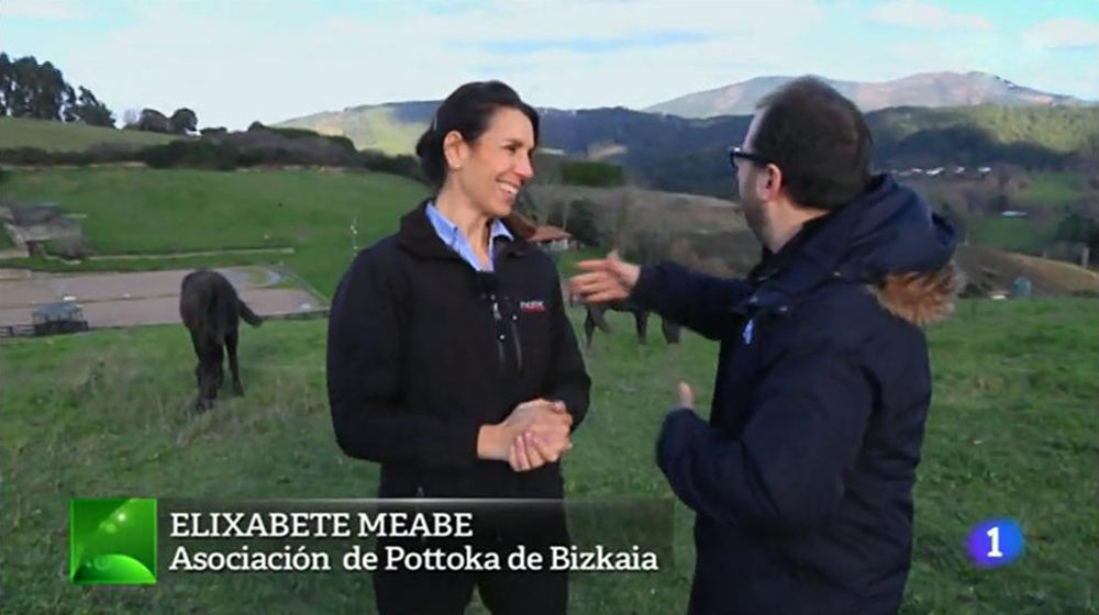 2016-03-07  -  REPORTAJE BIZKAIKO POTTOKA.