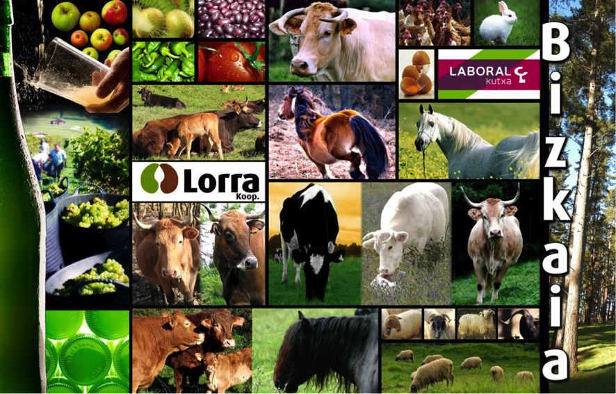 LORRA MARKET sortu dugu BIZKAIKO NEKAZARITZA ETA ABELTZAINTZA SEKTOREAREN eraldaketa digitala sustatzeko