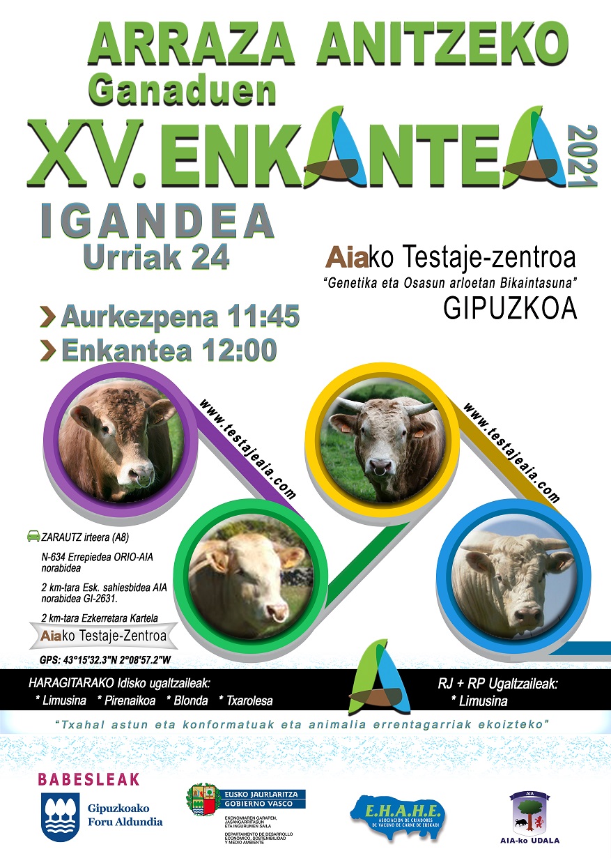 Cartel Anunciador AIA - euskera