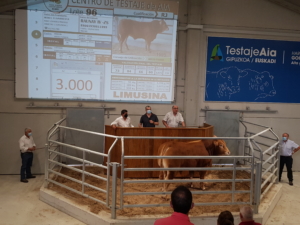 Resultado XIV SUBASTA MULTIRRACIAL de GANADO