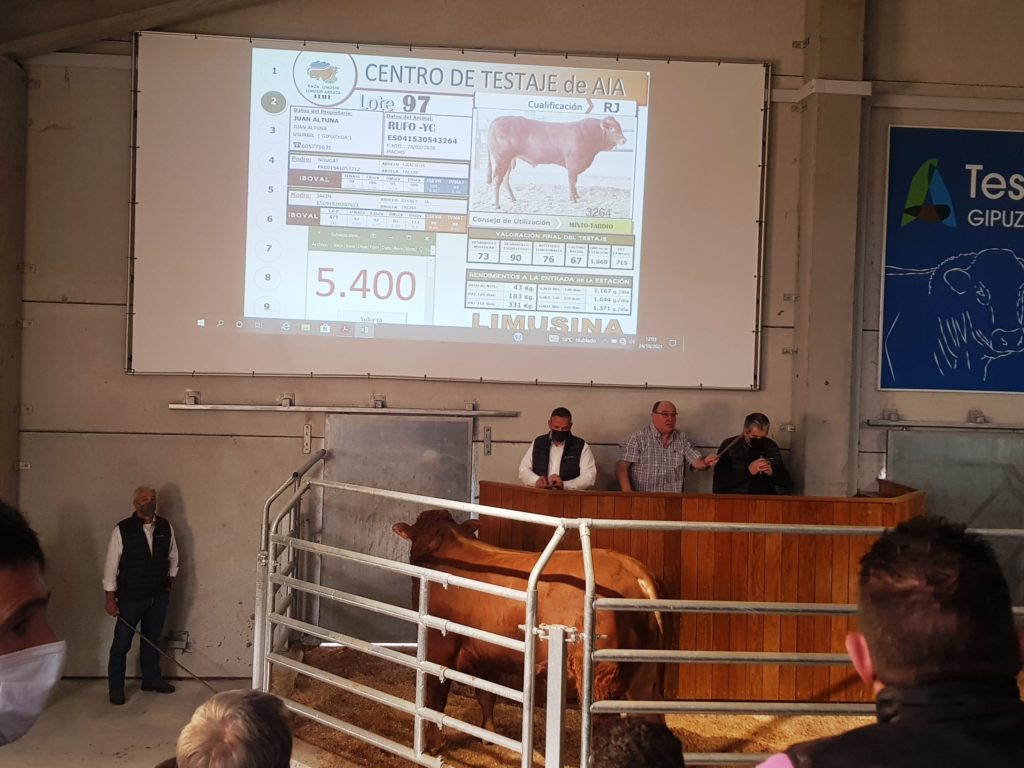 Resultado XV SUBASTA MULTIRRACIAL de GANADO