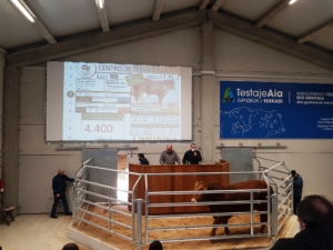 Resultado XVI SUBASTA MULTIRRACIAL de GANADO