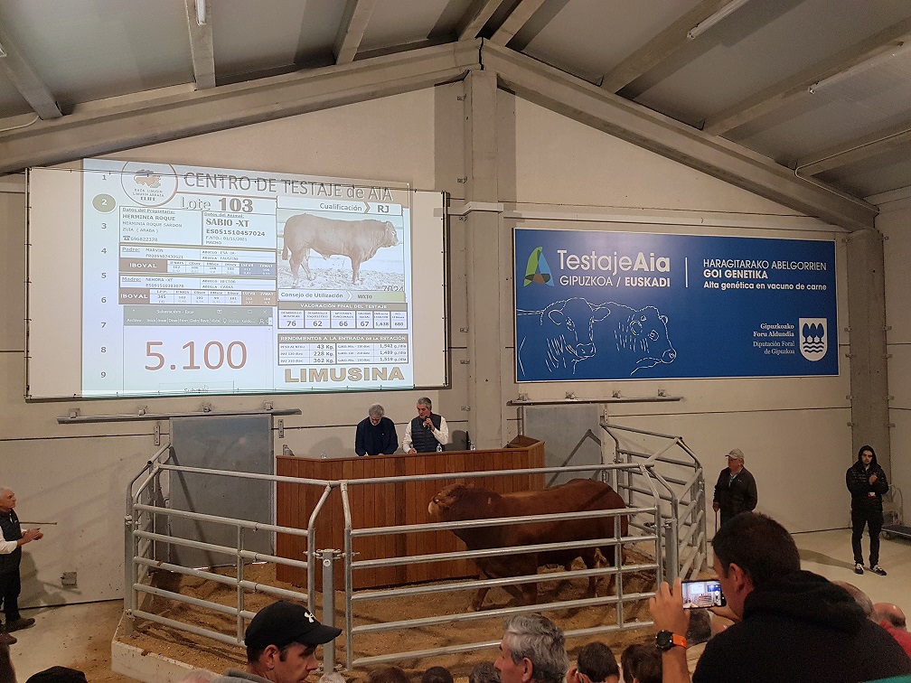 Resultado XXI SUBASTA MULTIRRACIAL de GANADO