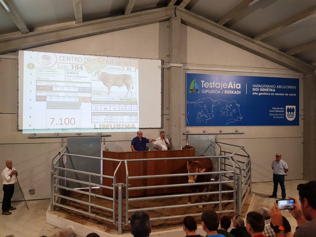 Resultado XXII SUBASTA MULTIRRACIAL de GANADO