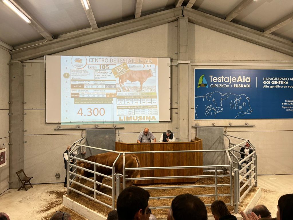 Resultado XXIII SUBASTA MULTIRRACIAL de GANADO