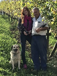 BASERRITARRAS MÁS PROFESIONALES DE 2017