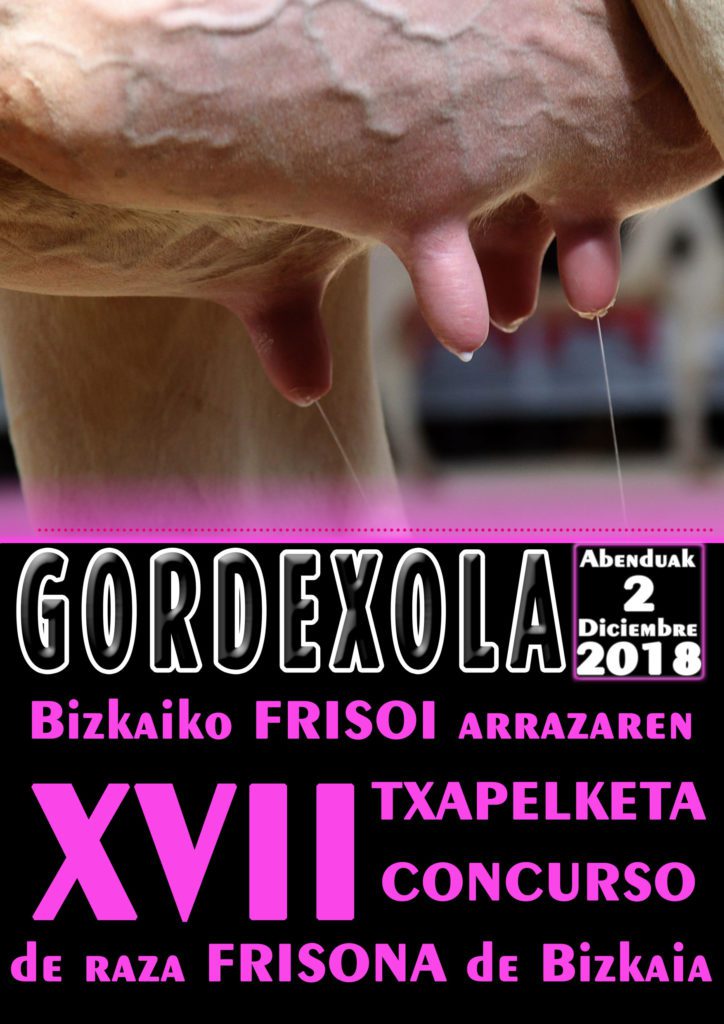 BIZKAIKO FRISOI ARRAZAREN XVII. TXAPELKETA