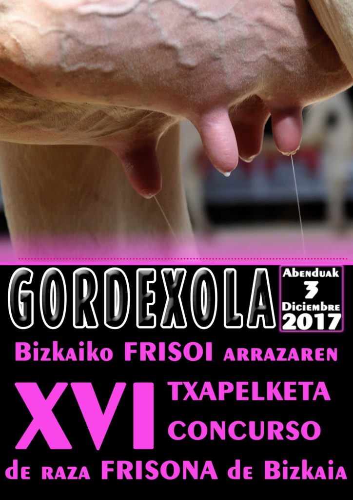 XVI CONCURSO DE LA RAZA FRISONA DE BIZKAIA