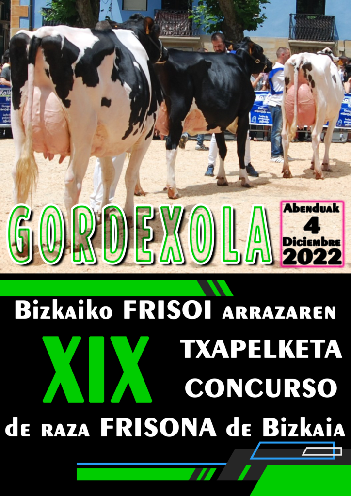 BIZKAIKO FRISOI ARRAZAREN XIX TXAPELKETA