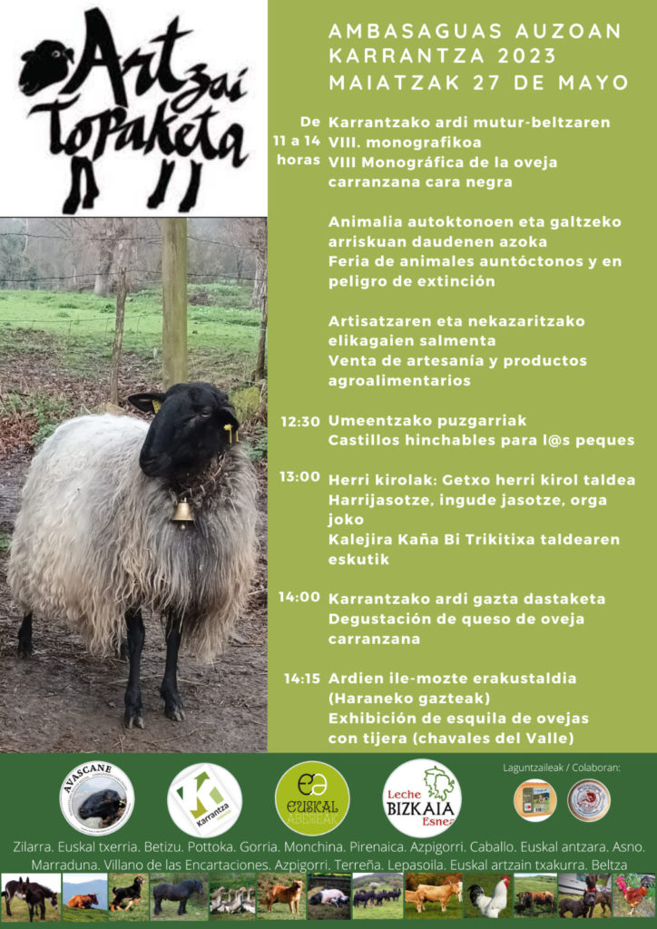 KARRANTZAKO ARDI MUTUR BELTZAREN VIII.  MONOGRAFIKOA