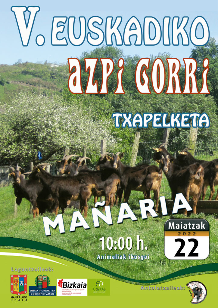 V CONCURSO DE AZPI GORRI DE EUSKADI