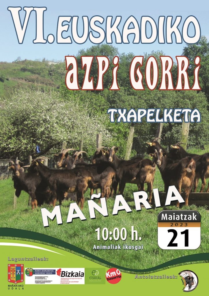 VI. EUSKADIKO AZPI GORRI TXAPELKETA