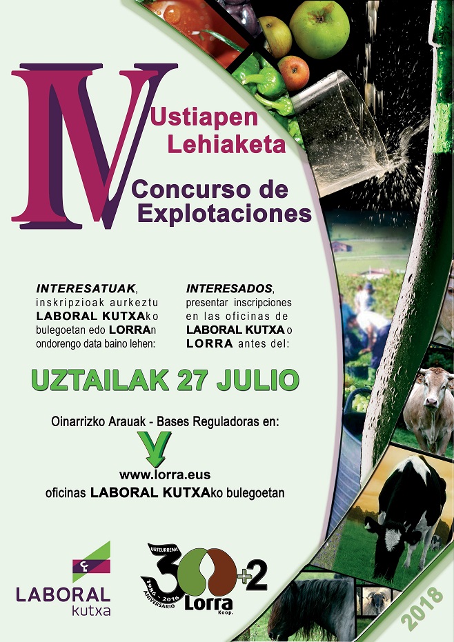 IV USTIAPEN LEHIAKETA