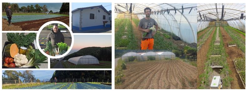 Nekazaritza-proiektu berri bi Bizkaian, Lorrak aholkatuta