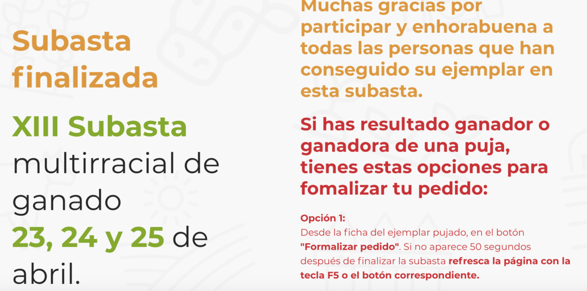 Fin Subasta AIA XIII