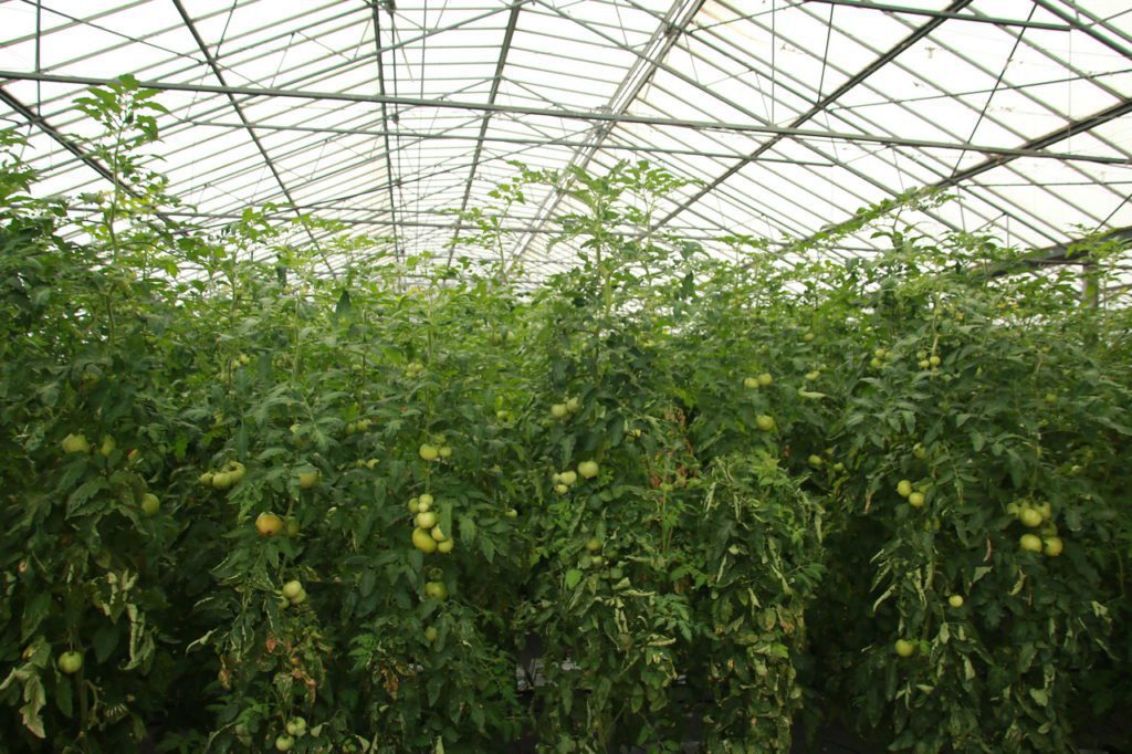 Participamos a través de Lursail en un proyecto de Eficiencia Energética y aprovechamiento de Energías Renovables