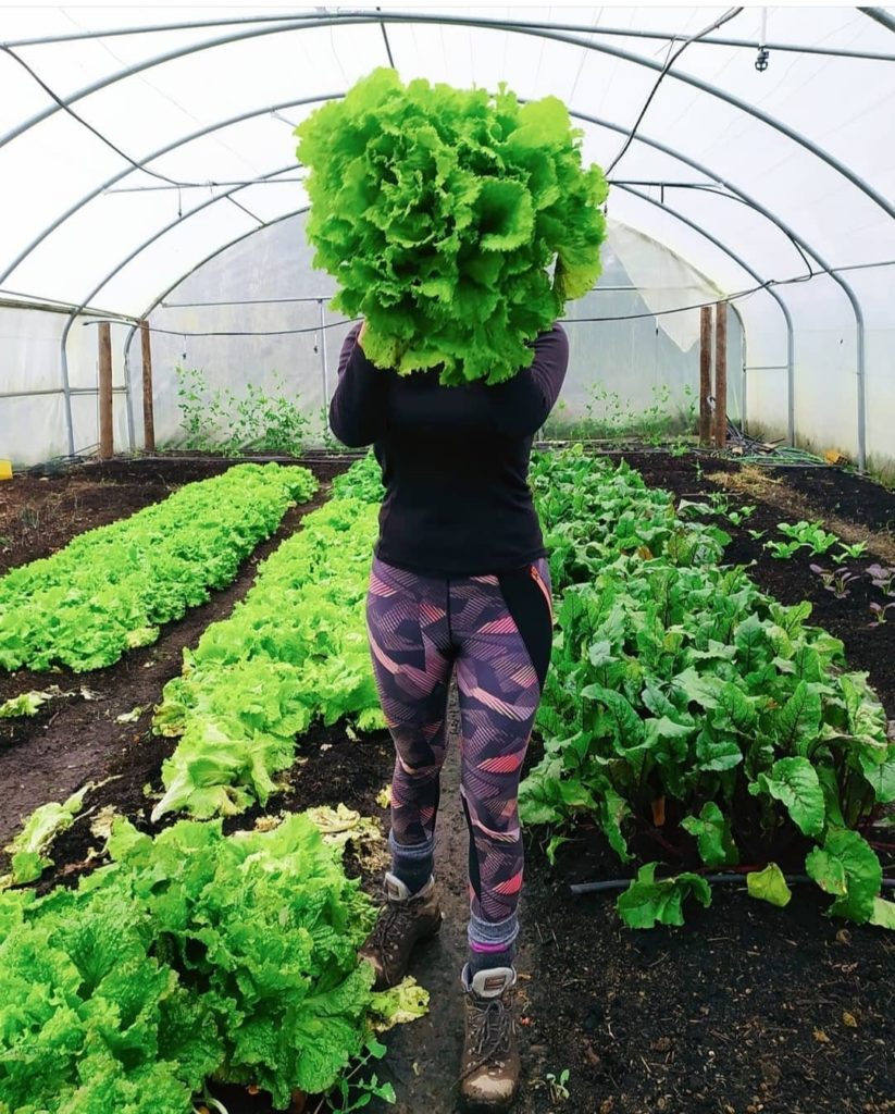 El emprendizaje en el agro vizcaíno vuelve a niveles prepandemia