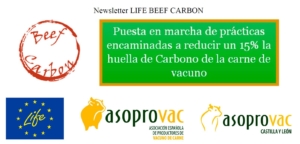 8º Newsletter LIFE BEEF CARBON