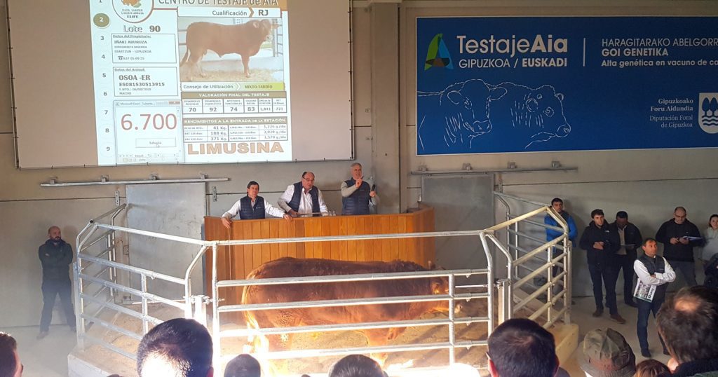 ARRAZA ANITZEKO GANADUEN VIII. ENKANTEAREN emaitza