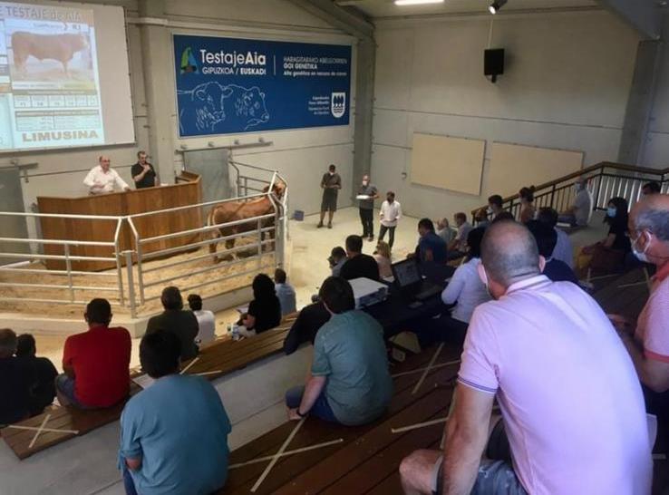 Resultado X SUBASTA MULTIRRACIAL de GANADO