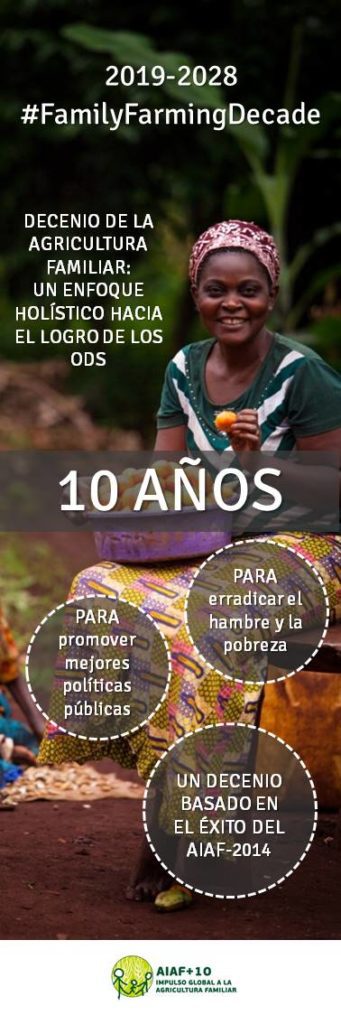 Claves para alcanzar los objetivos del Decenio de Agricultura Familiar