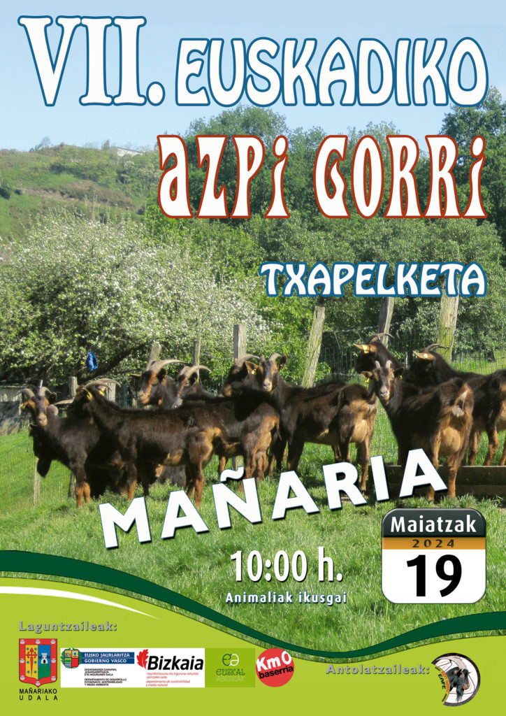 VII Concurso de Azpi Gorri de Euskadi