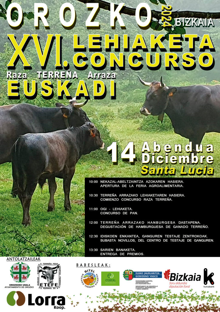XVI CONCURSO DE GANADO TERREÑO DE EUSKADI