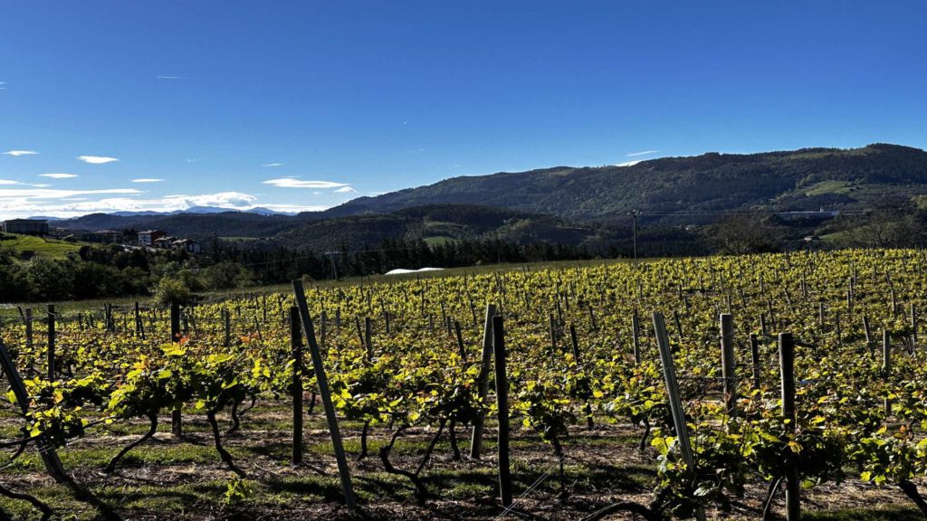 Mahastia alokatzen da