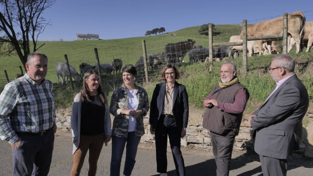 14 medidas para el primer sector de Bizkaia