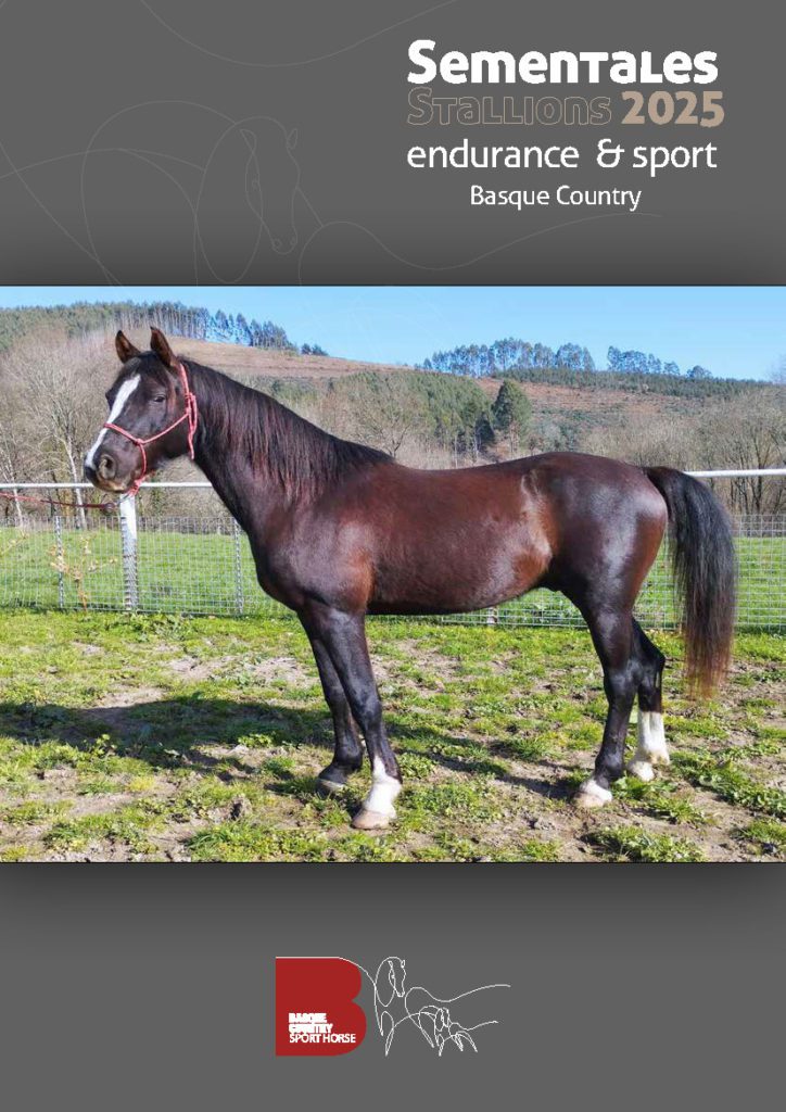 Kirol-zaldien Hazitarako Salmenta