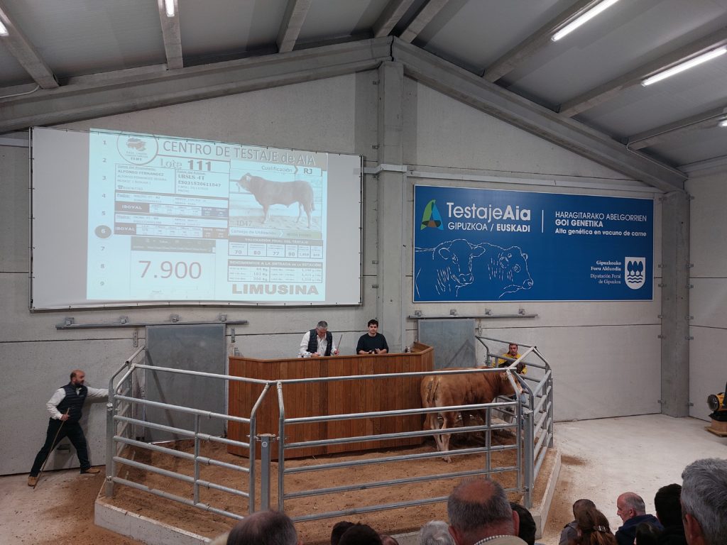 ARRAZA ANITZEKO GANADUEN XXIX. ENKANTEAREN emaitza