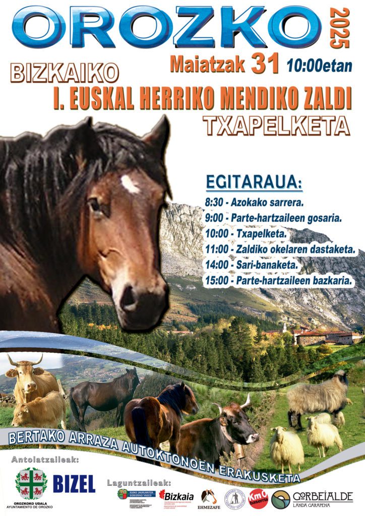 Bizkaiko I. Euskal Herriko Mendiko  Zaldi Txapelketa