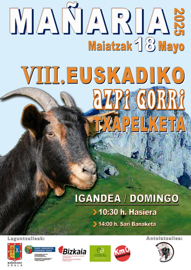 VIII. EUSKADIKO AZPI GORRI TXAPELKETA