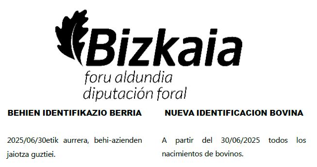 NUEVA IDENTIFICACION BOVINA