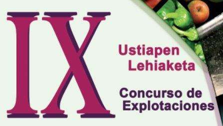 IX. USTIAPEN LEHIAKETA