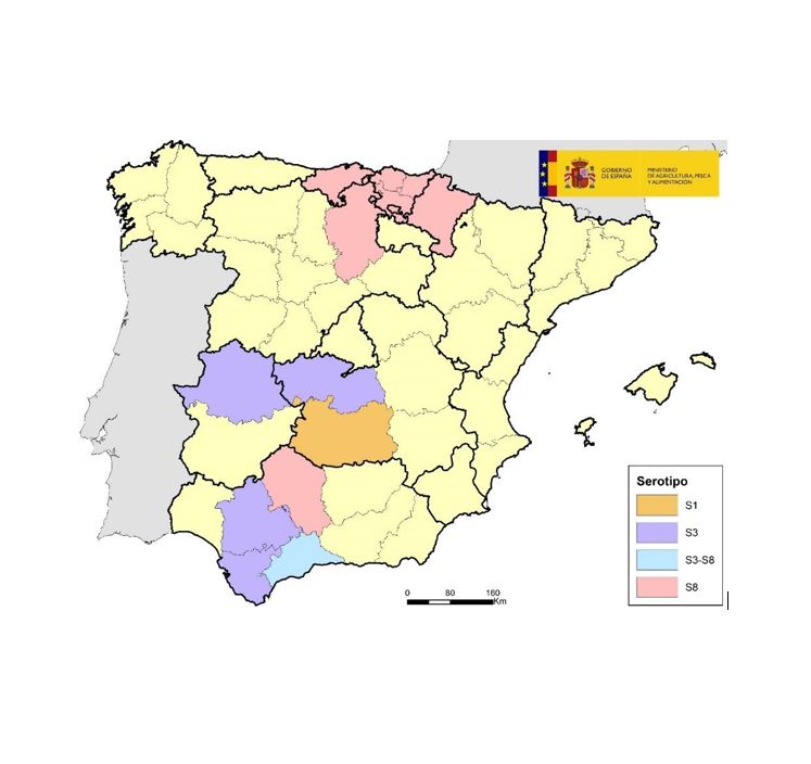 MIHI URDINAREN EGOERA EPIDEMIOLOGIKOA