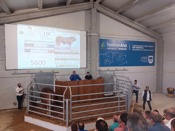 ARRAZA ANITZEKO GANADUEN XXX. ENKANTEAREN emaitza