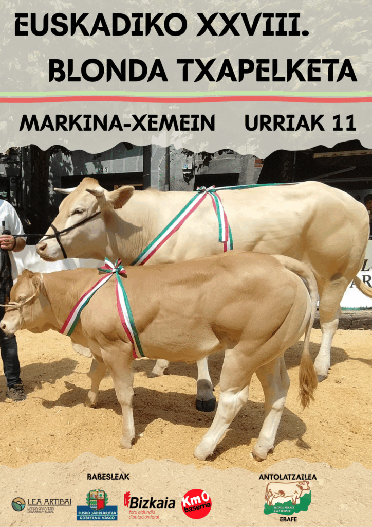 Euskadiko XXVIII. Blonda Txapelketa