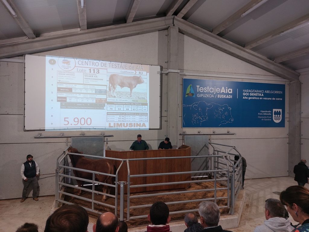 ARRAZA ANITZEKO GANADUEN XXXI. ENKANTEAREN emaitza