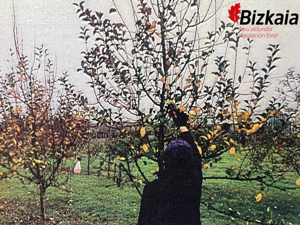 LANDARE OSASUNARI ETA INAUSKETARI BURUZKO JARDUNALDIAK