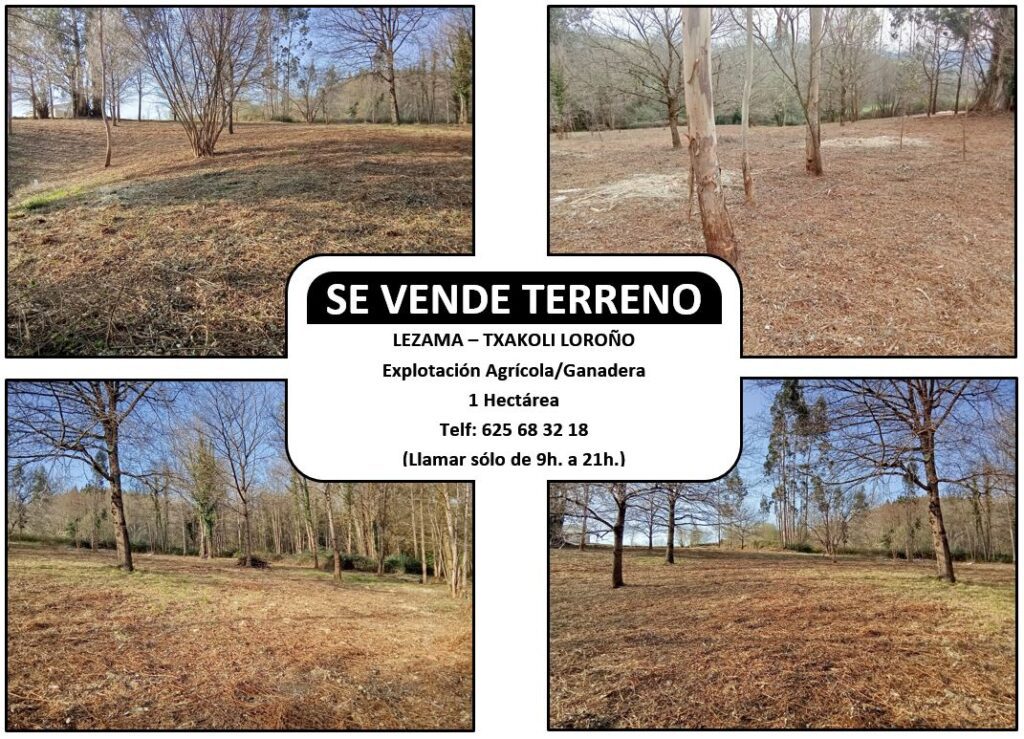 LURSAILA SALGAI LEZAMAN