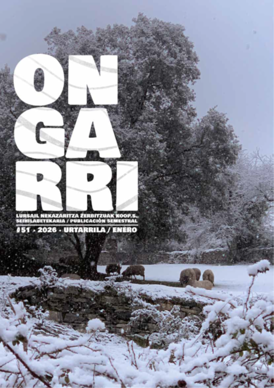 Ongarri berria: gertaera gogoangarria Lursailentzat