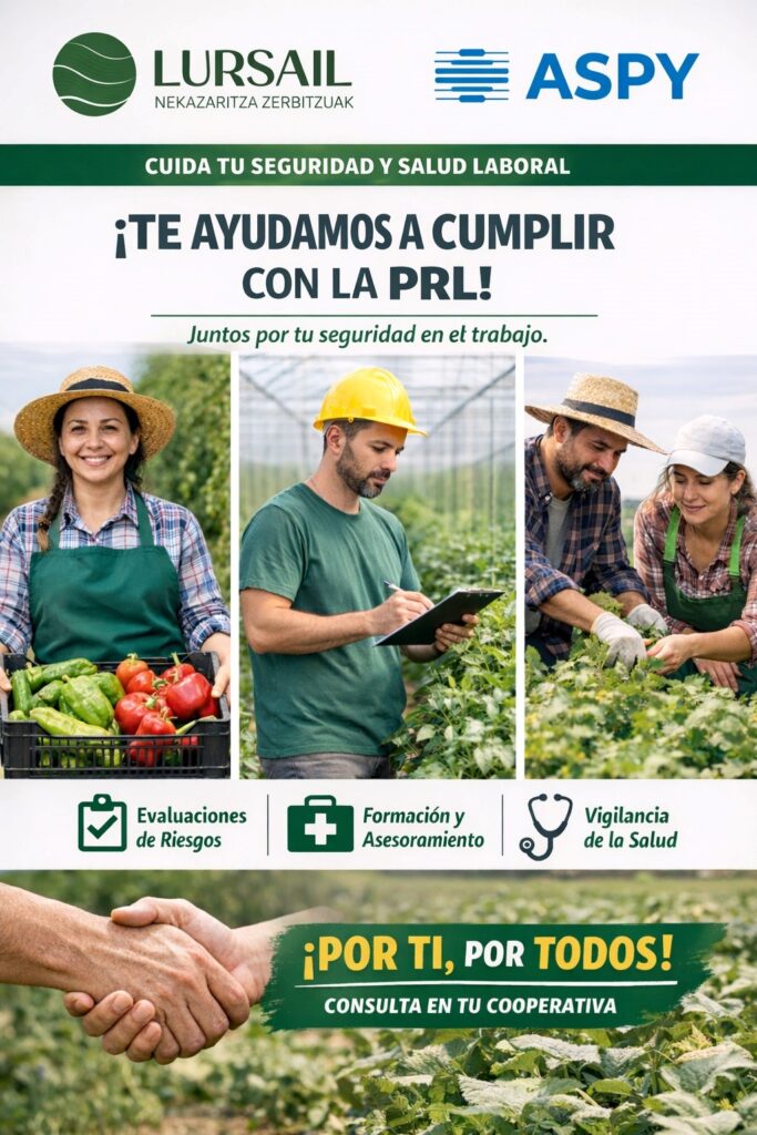 Cuida tu seguridad y salud laboral