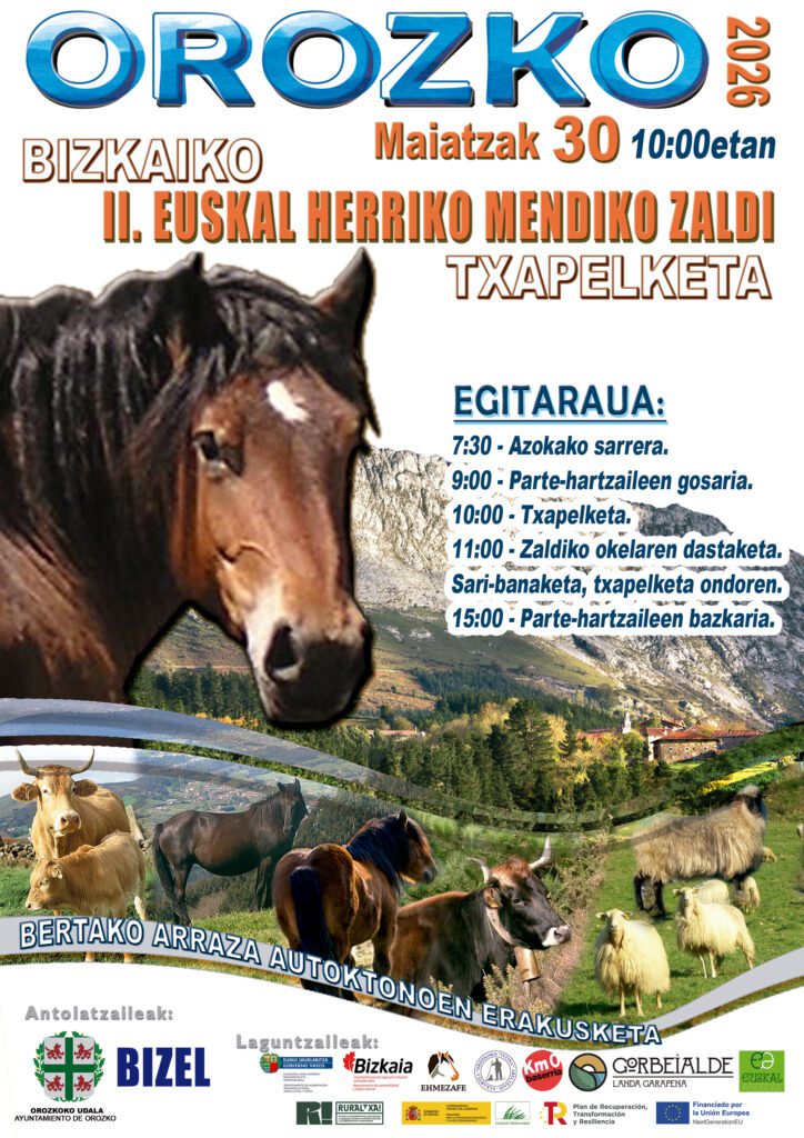 Bizkaiko II. Euskal Herriko Mendiko  Zaldi Txapelketa