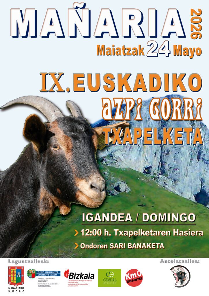 IX. EUSKADIKO AZPI GORRI TXAPELKETA