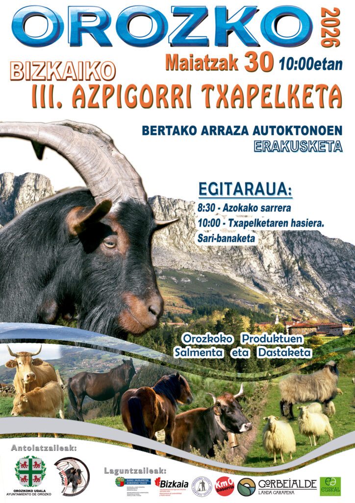 Bizkaiko III. Azpi Gorri Txapelketa