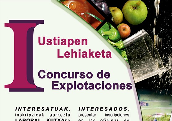 I CONCURSO de EXPLOTACIONES