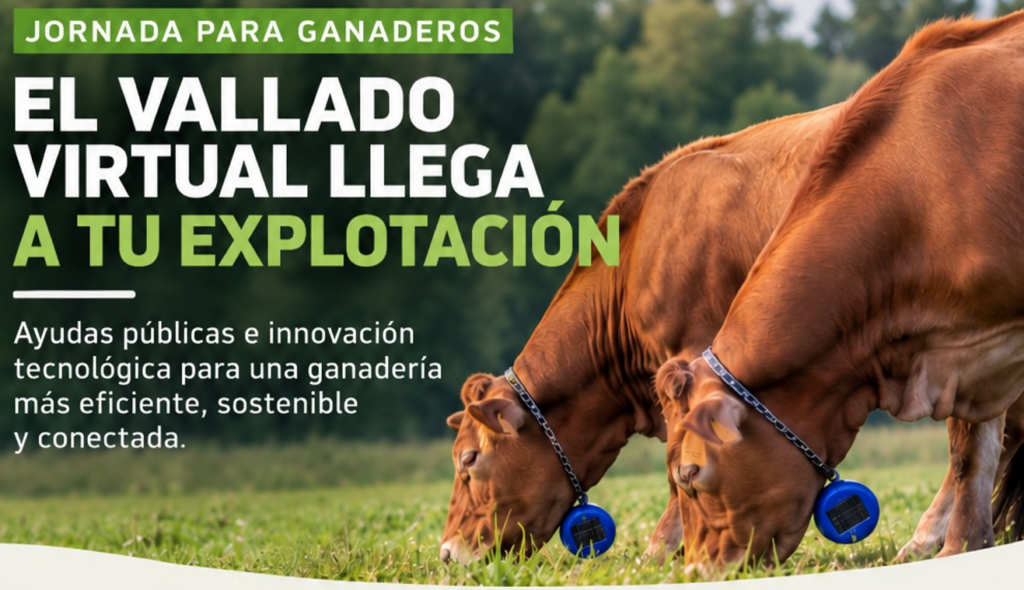 JORNADA SOBRE VALLADOS VIRTUALES